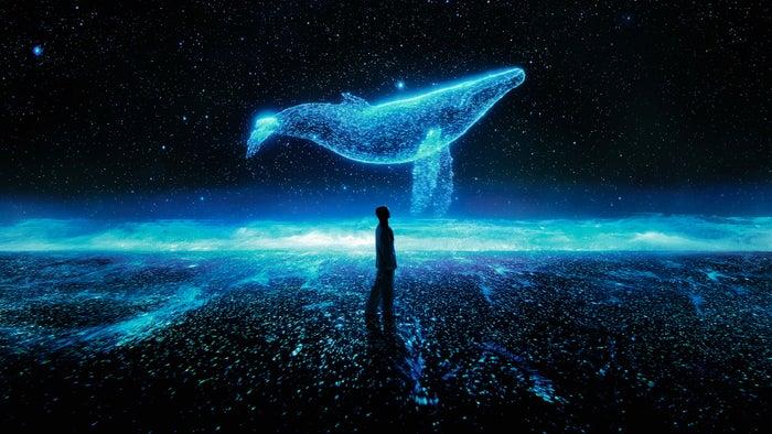 ニュース画像