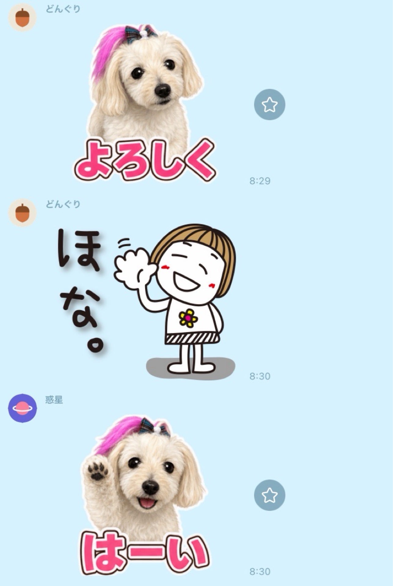 投稿画像