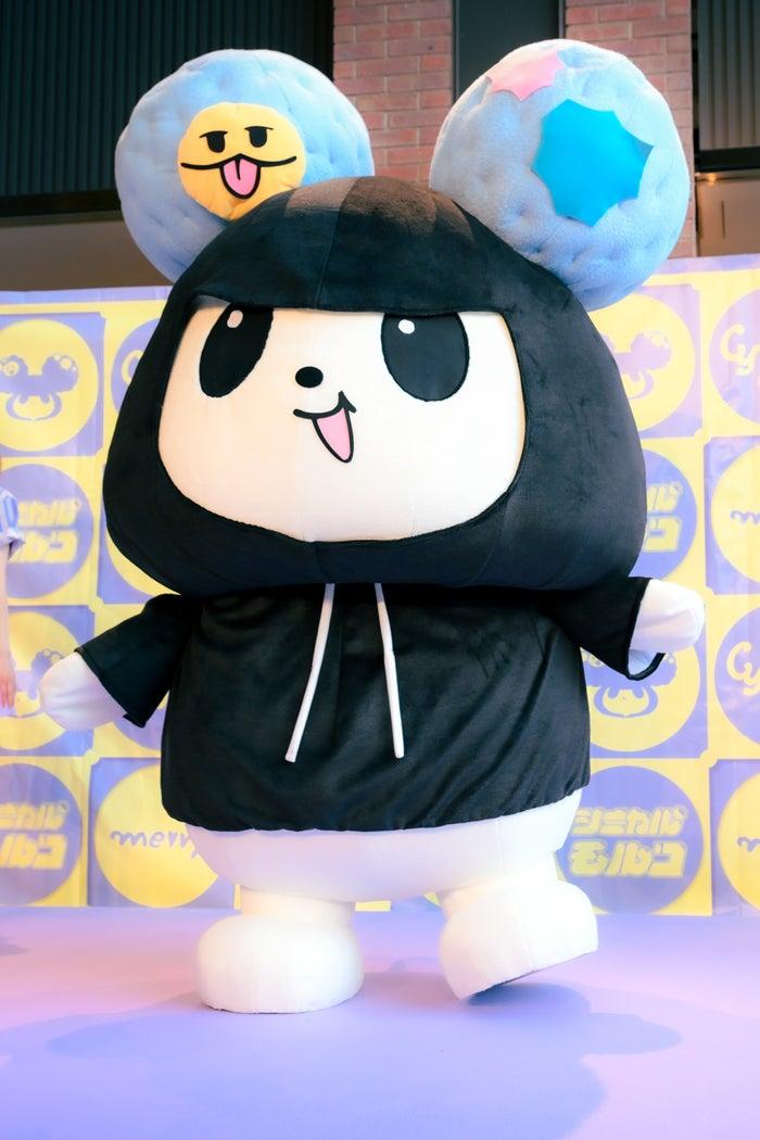 ニュース画像
