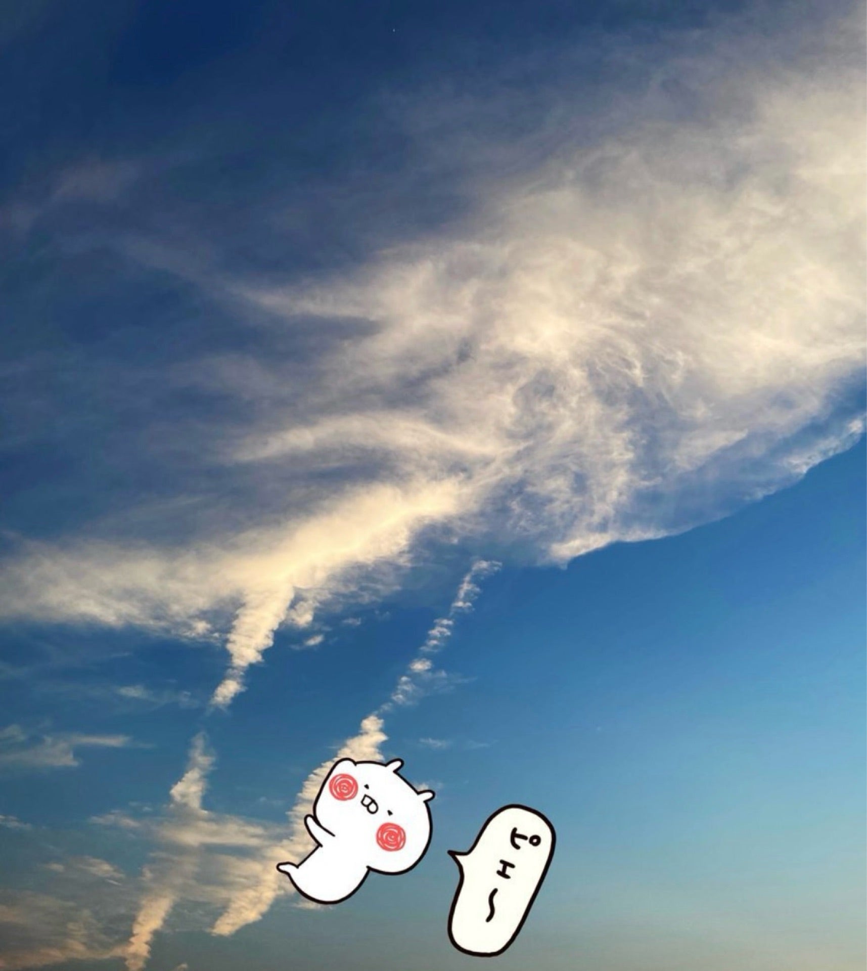 投稿画像