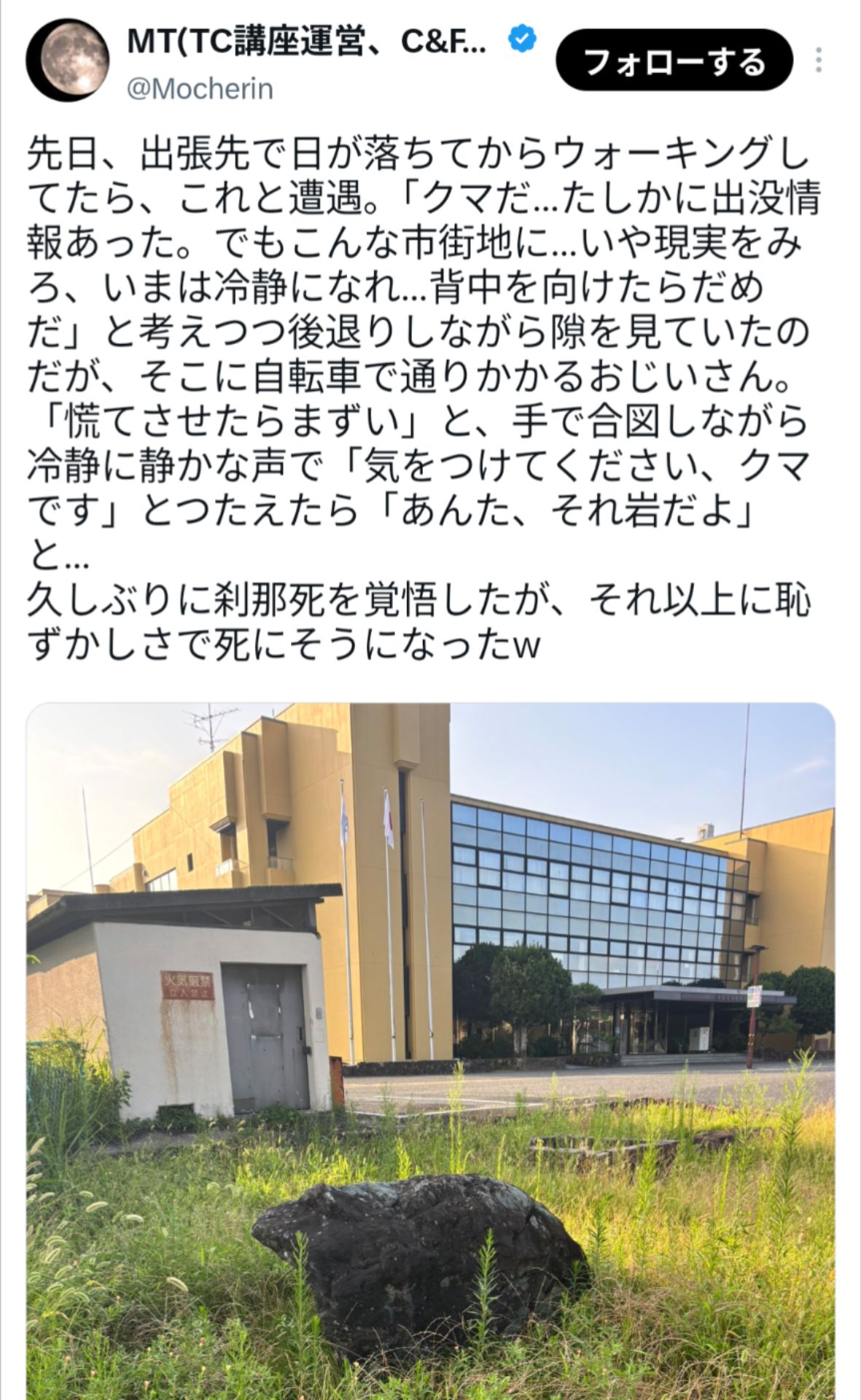 投稿画像