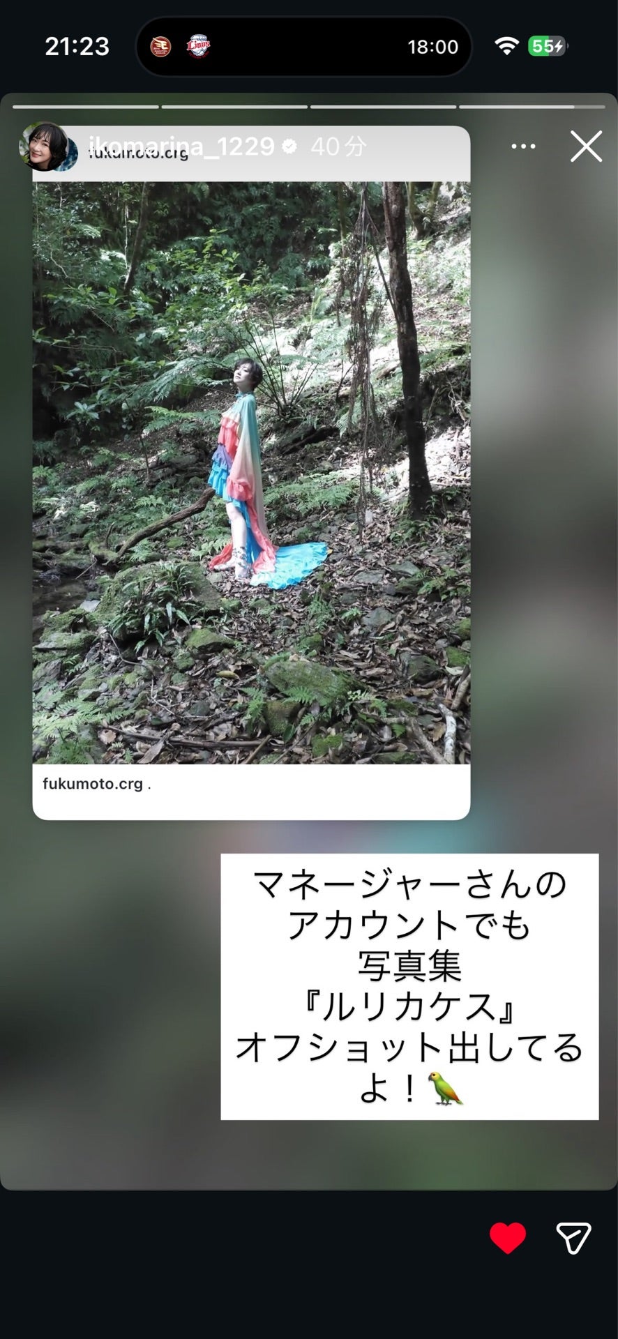 投稿画像