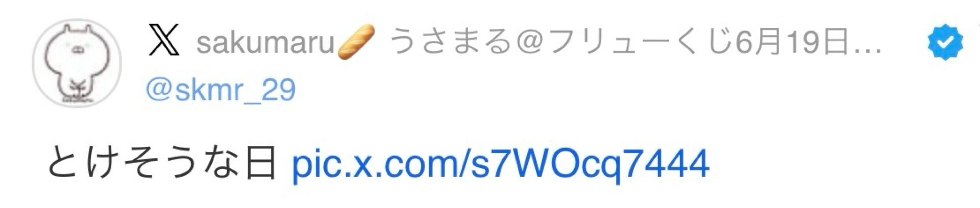 投稿画像