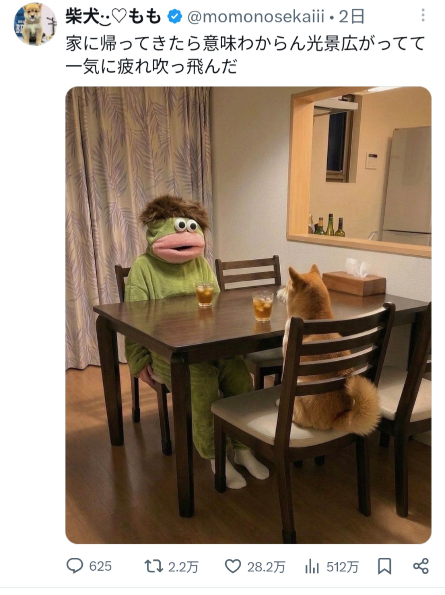 投稿画像