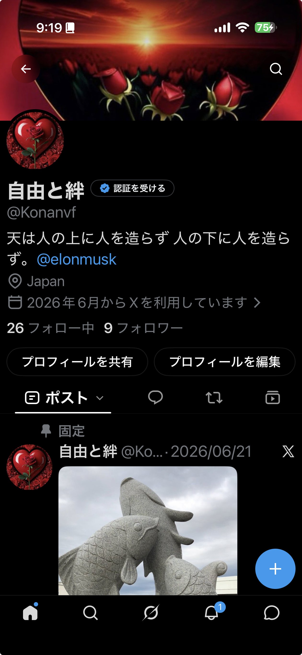 投稿画像