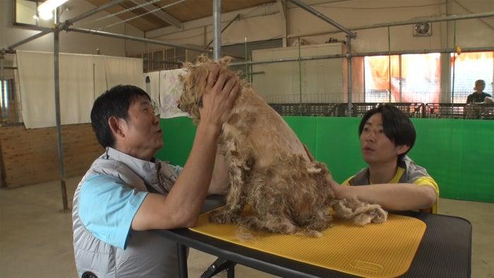 ニュース画像