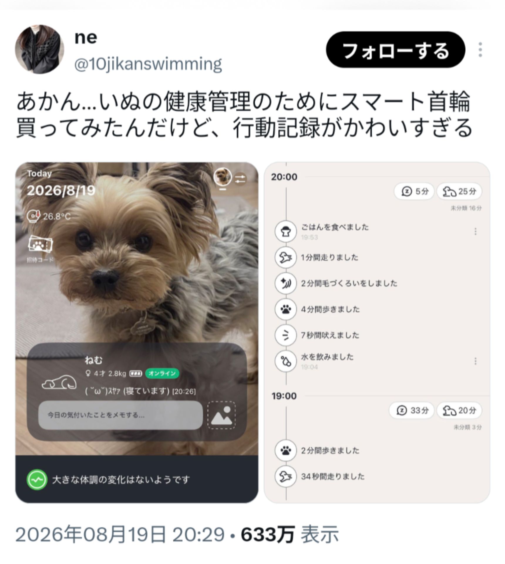 投稿画像