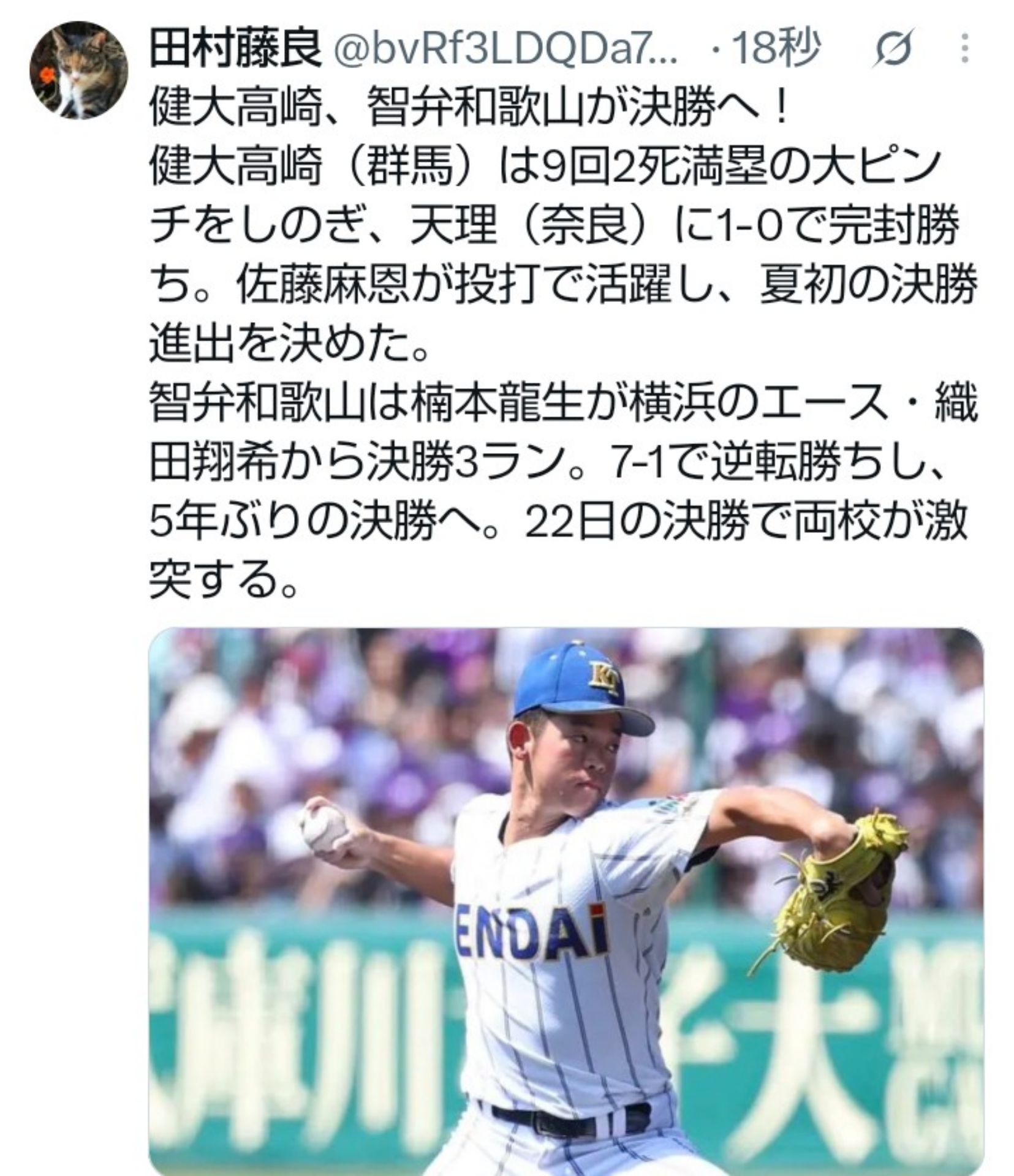 投稿画像