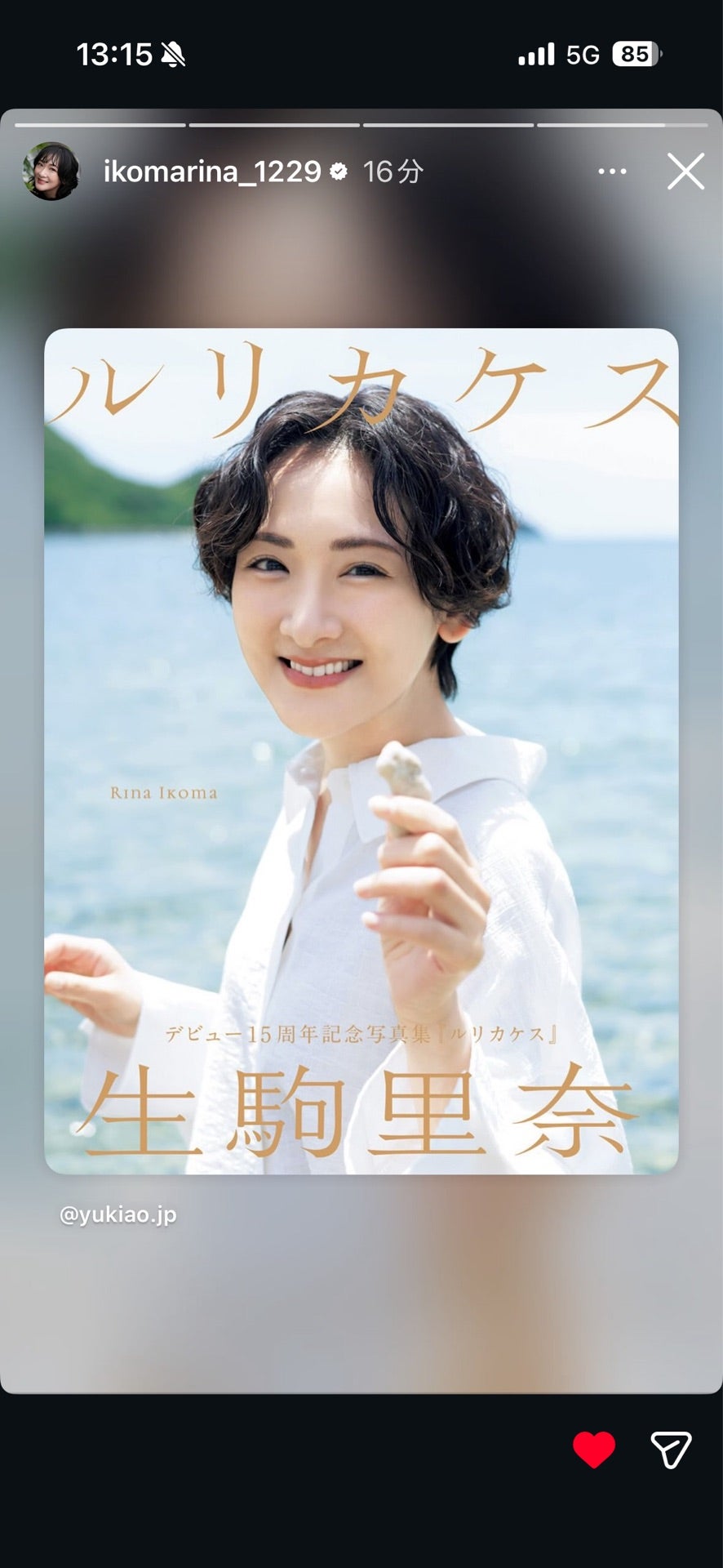 投稿画像