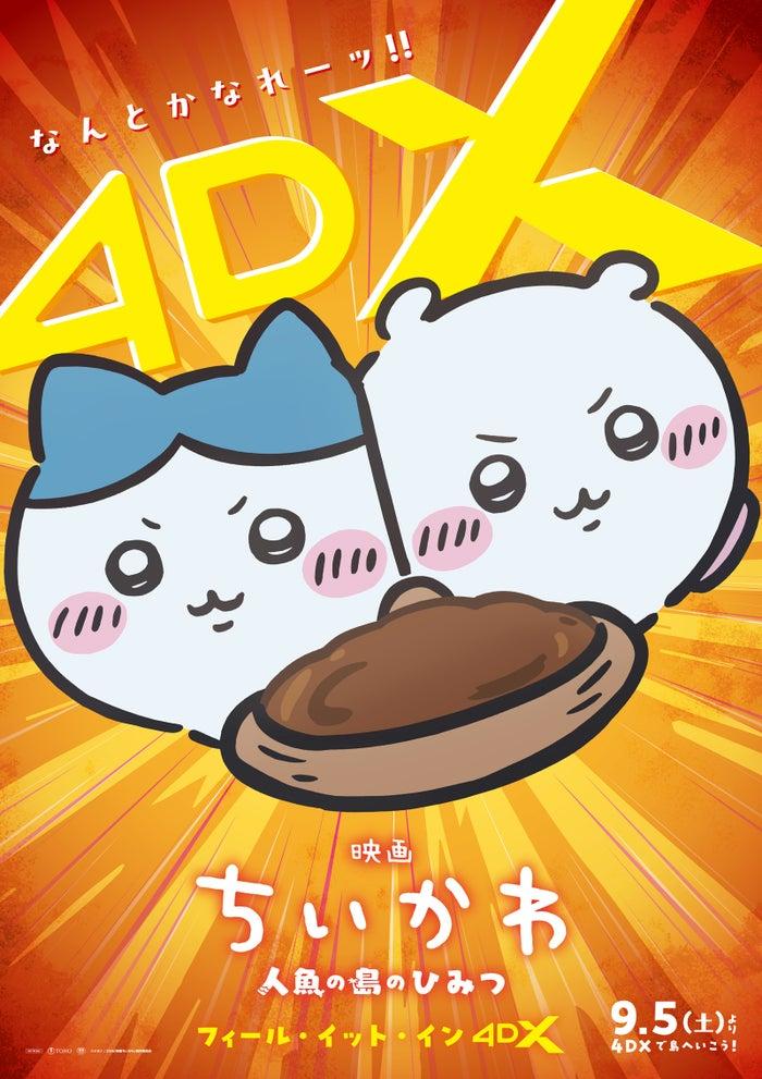 ニュース画像