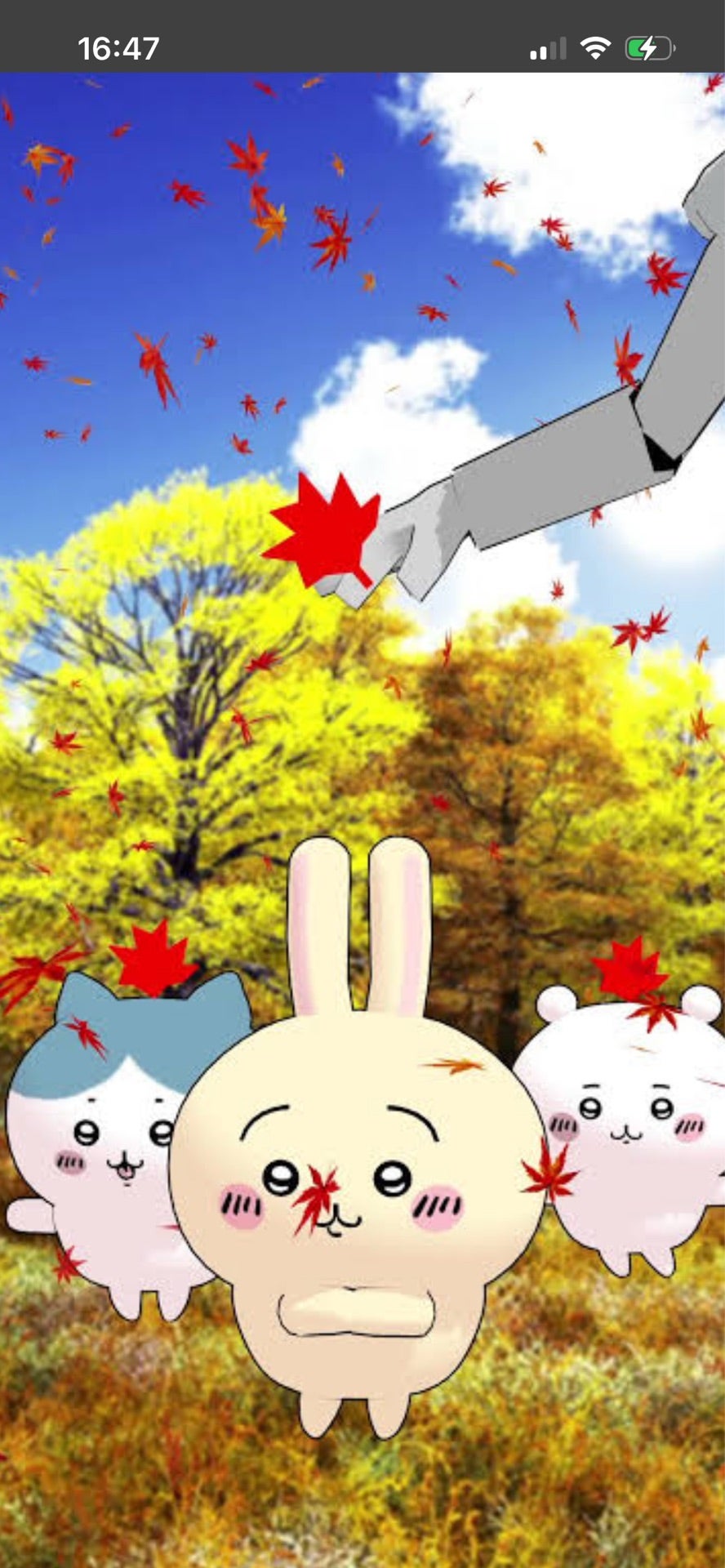 投稿画像
