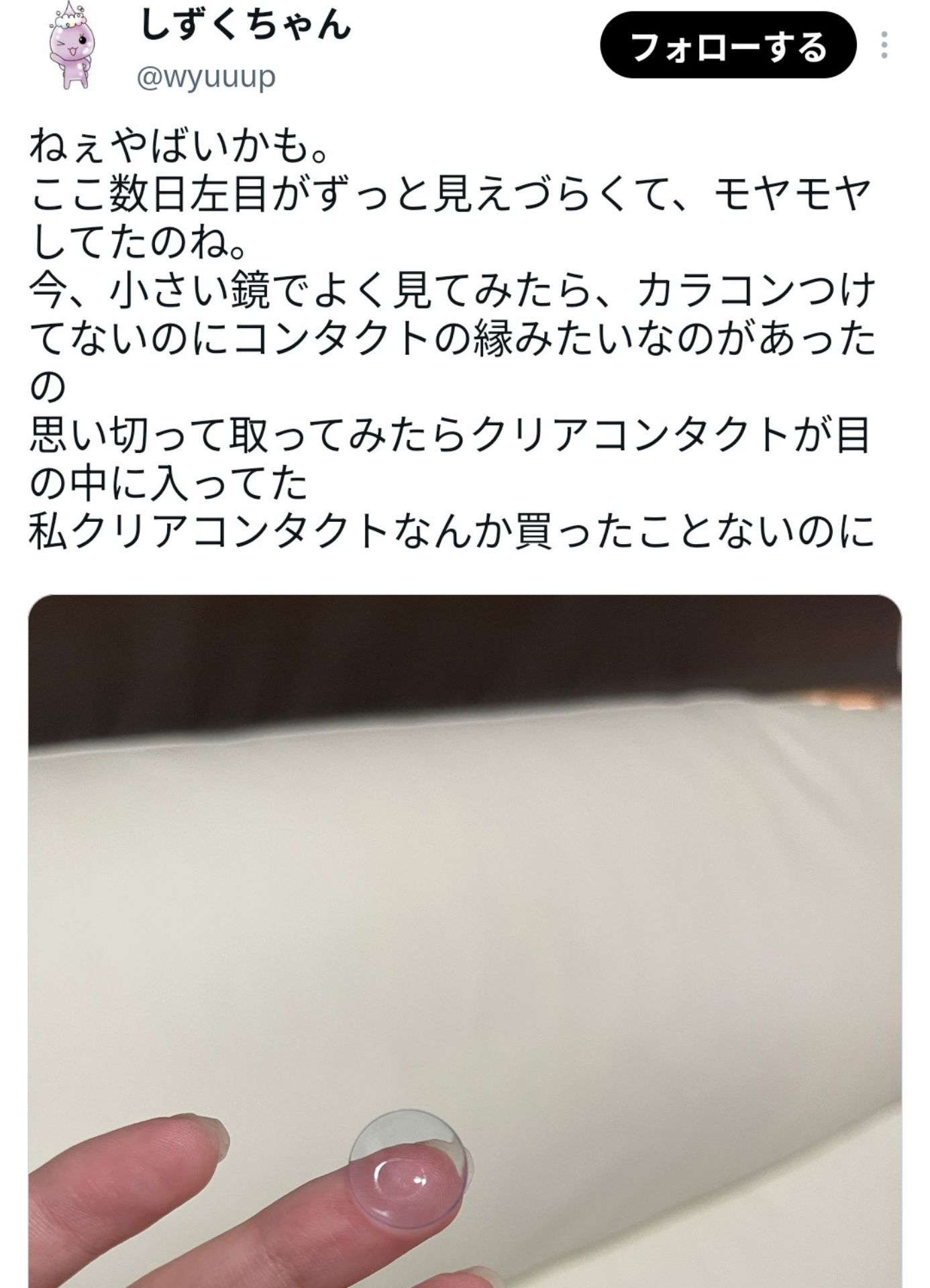 投稿画像