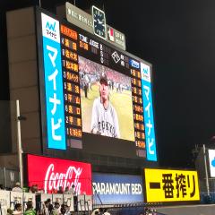 名無しの悪党