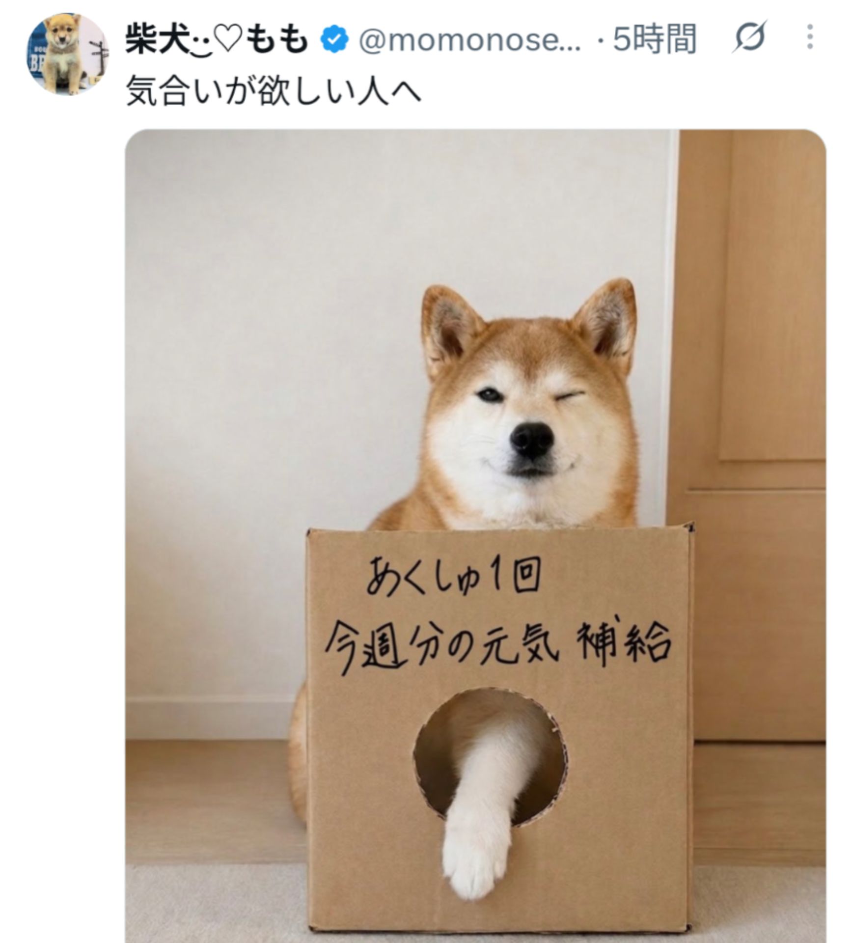 投稿画像