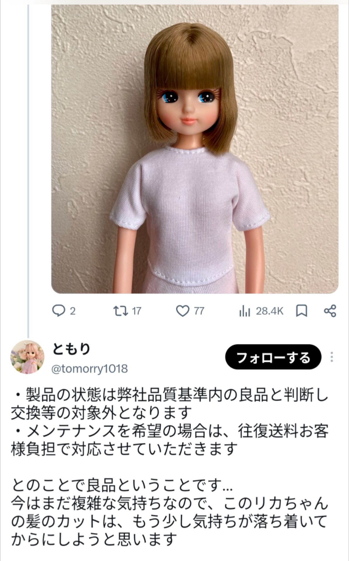 投稿画像