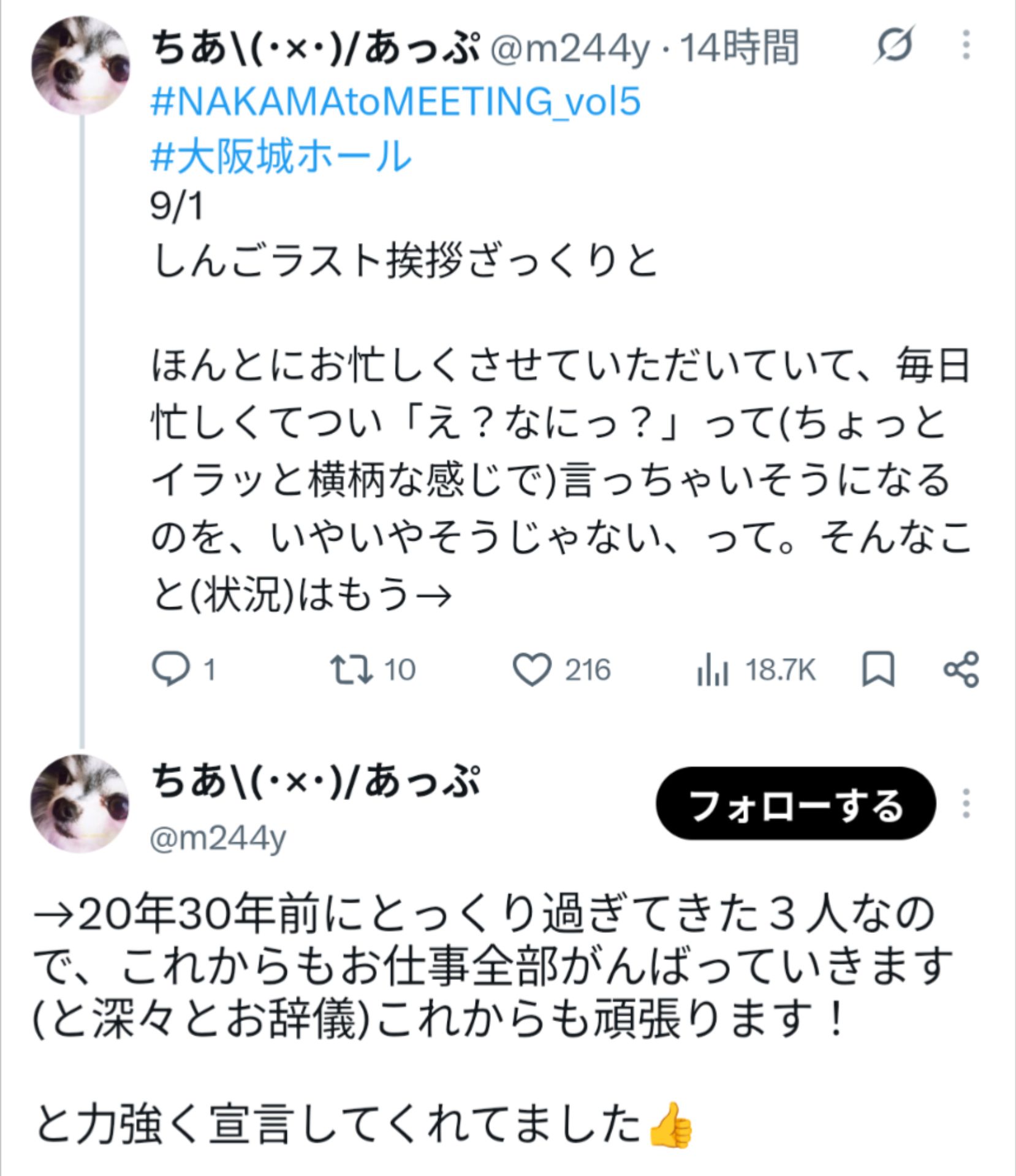 投稿画像