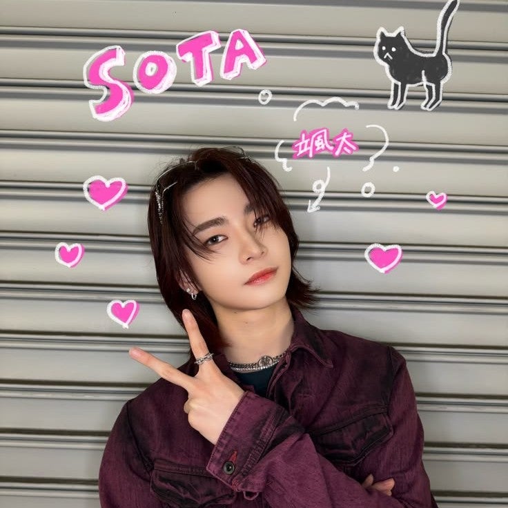 🍀SOTA🍀