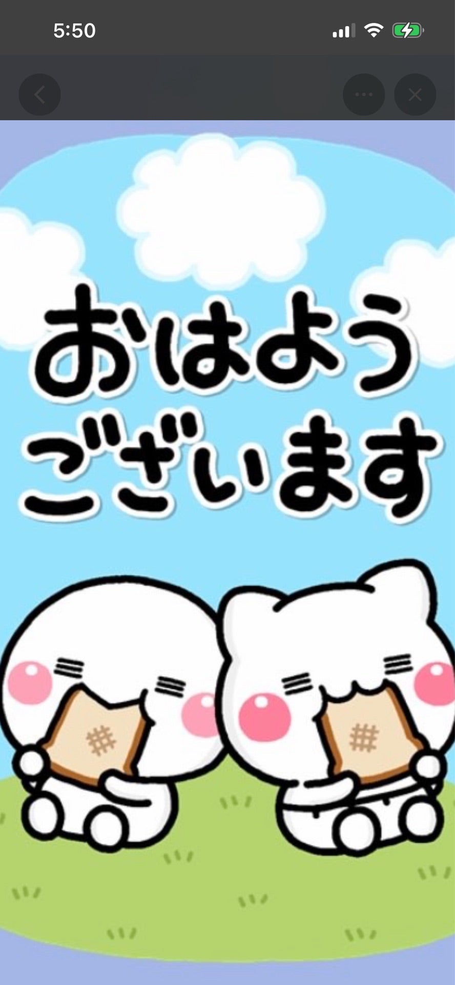 投稿画像