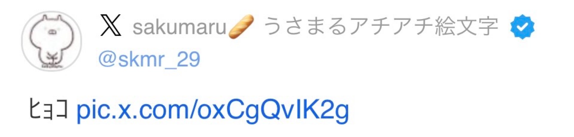 投稿画像