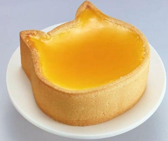 ニュース画像