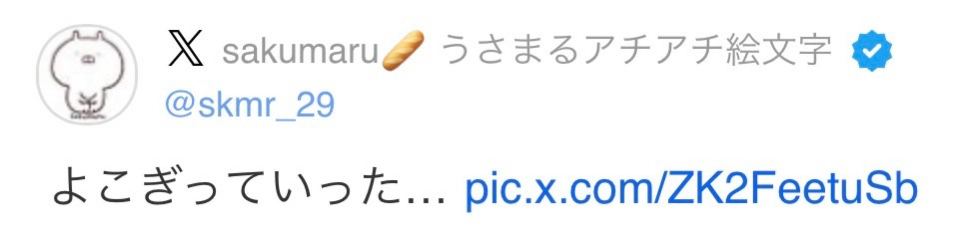 投稿画像