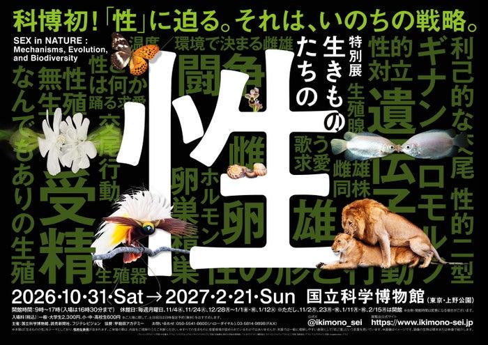 ニュース画像