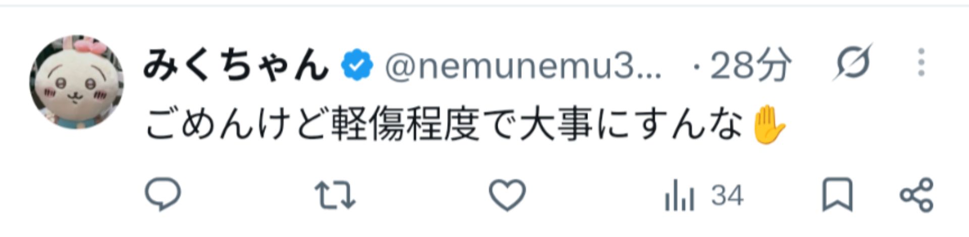 投稿画像