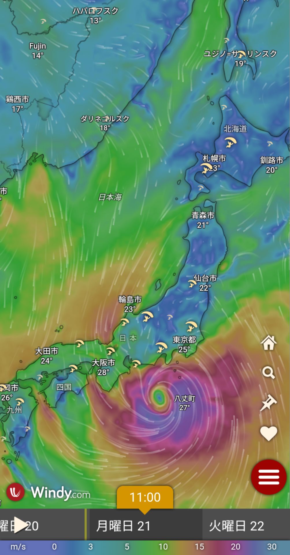 投稿画像