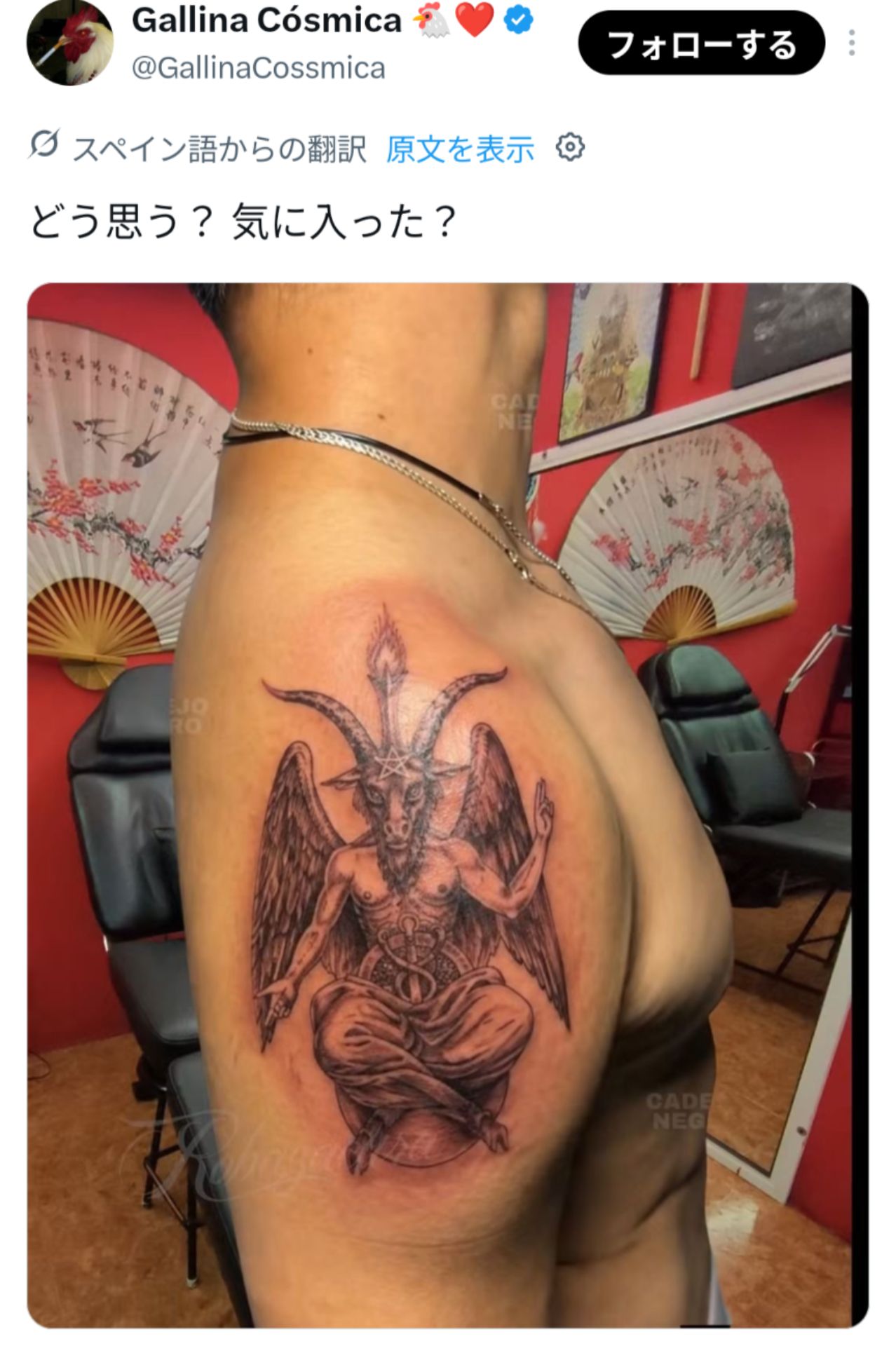 投稿画像