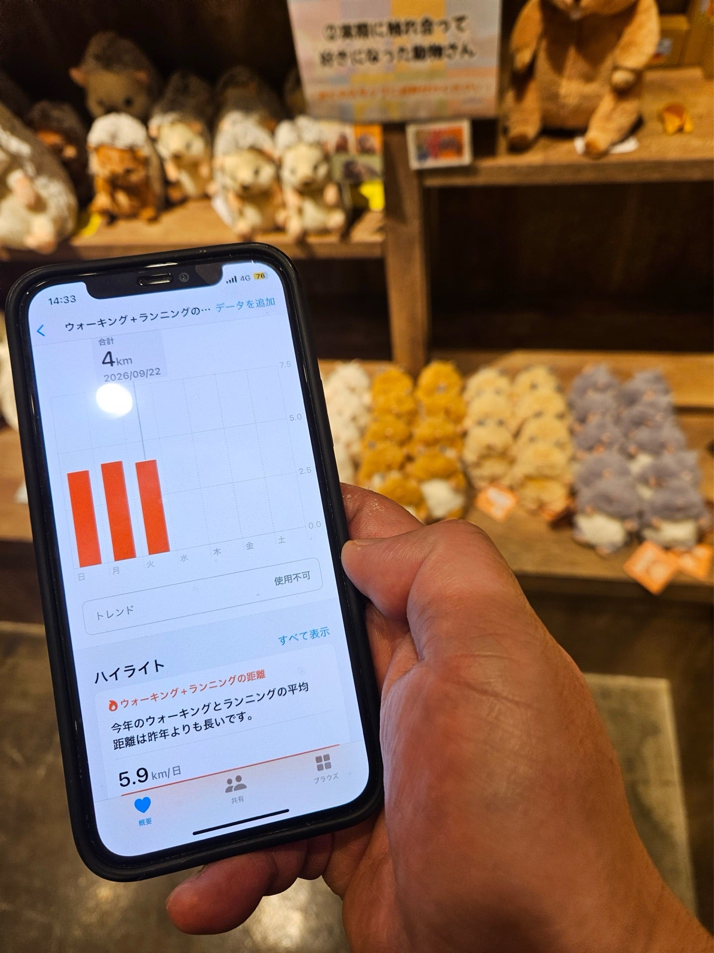 投稿画像