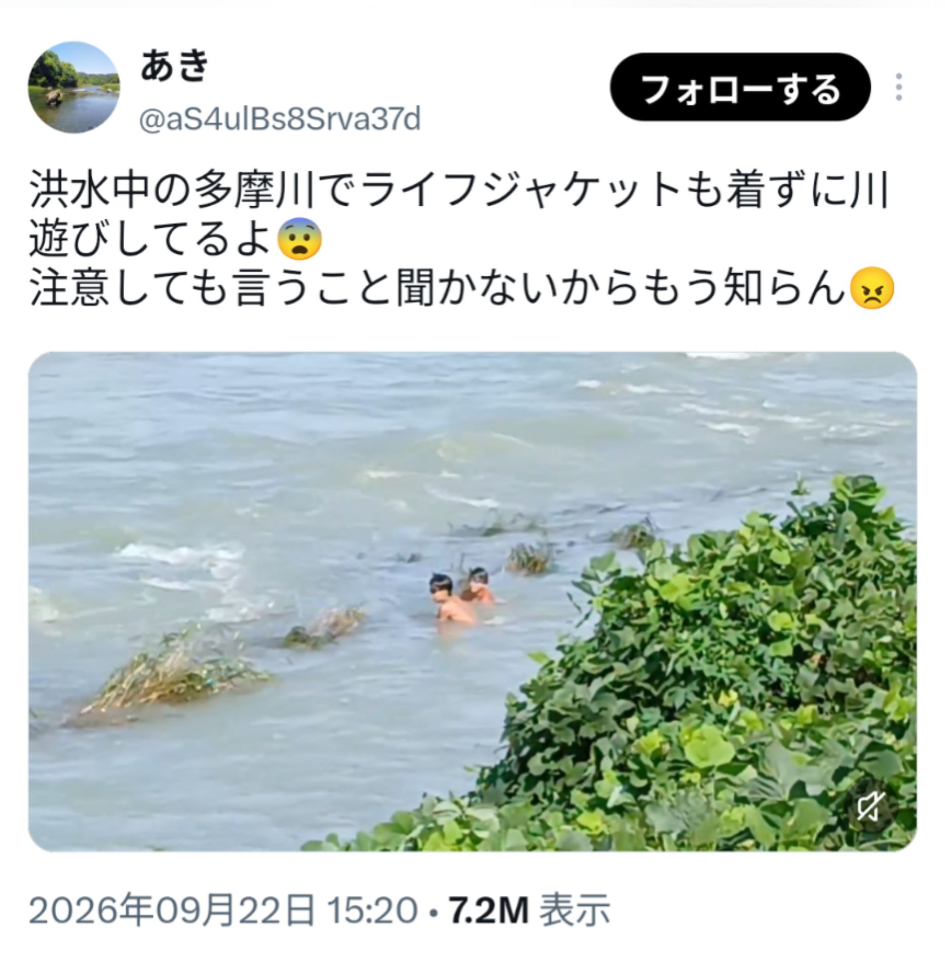 投稿画像
