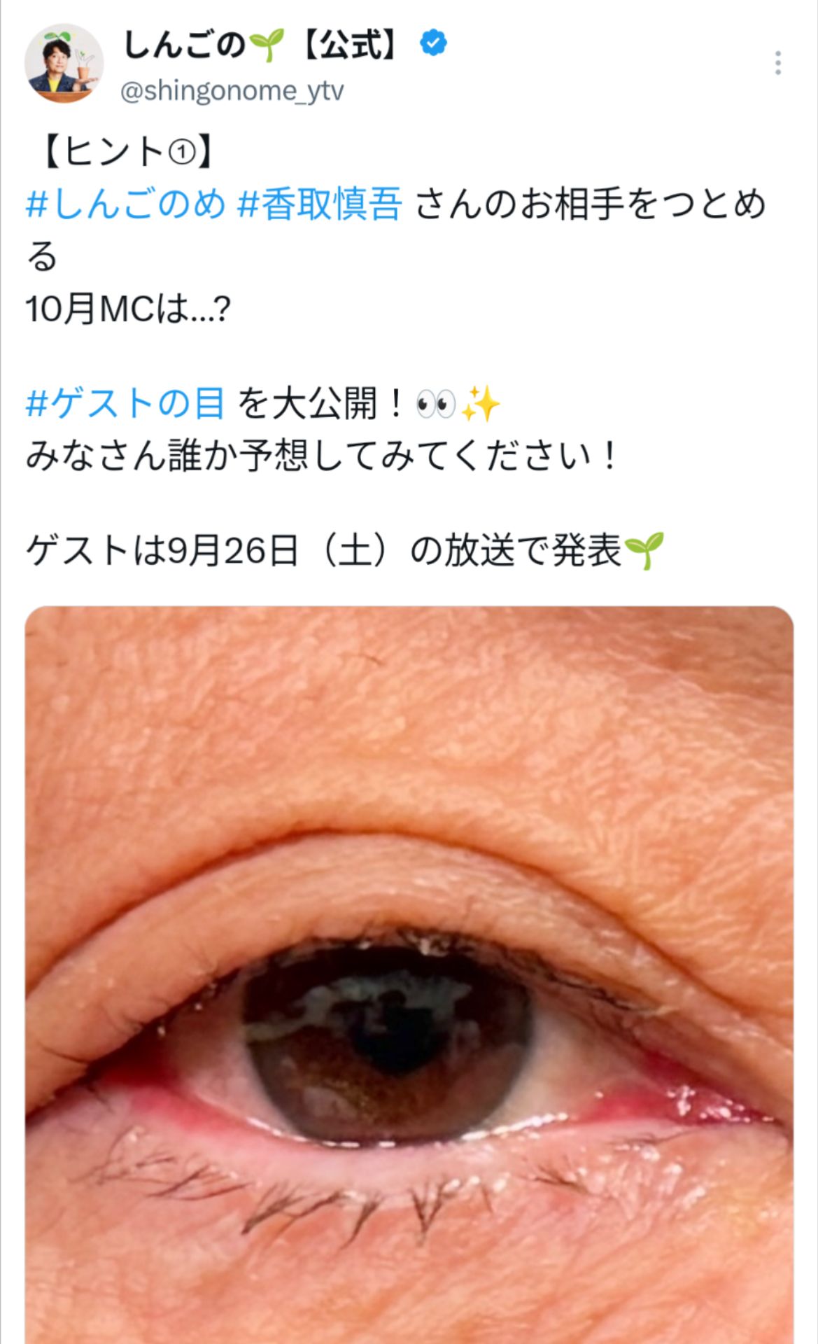 投稿画像