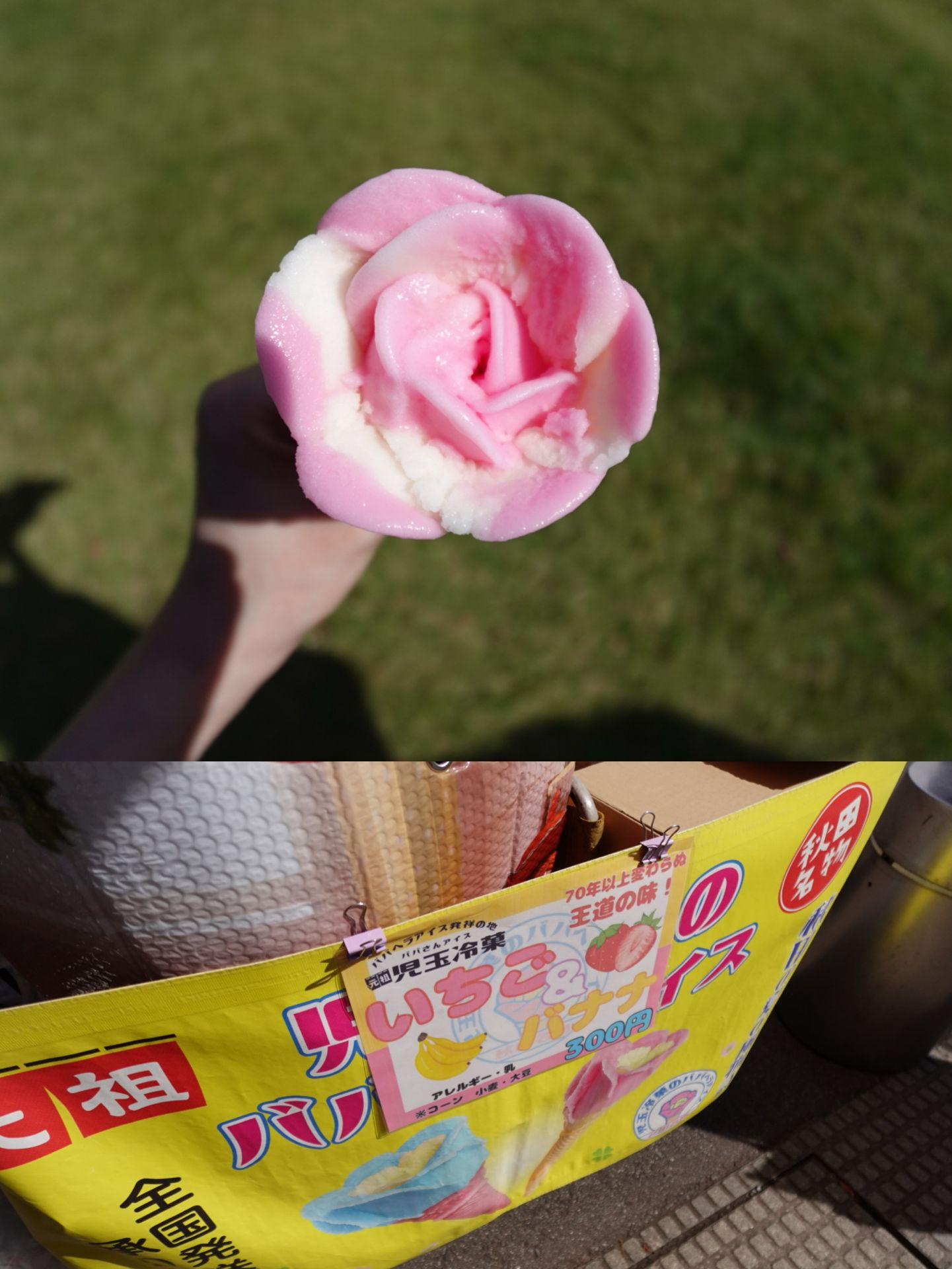 投稿画像