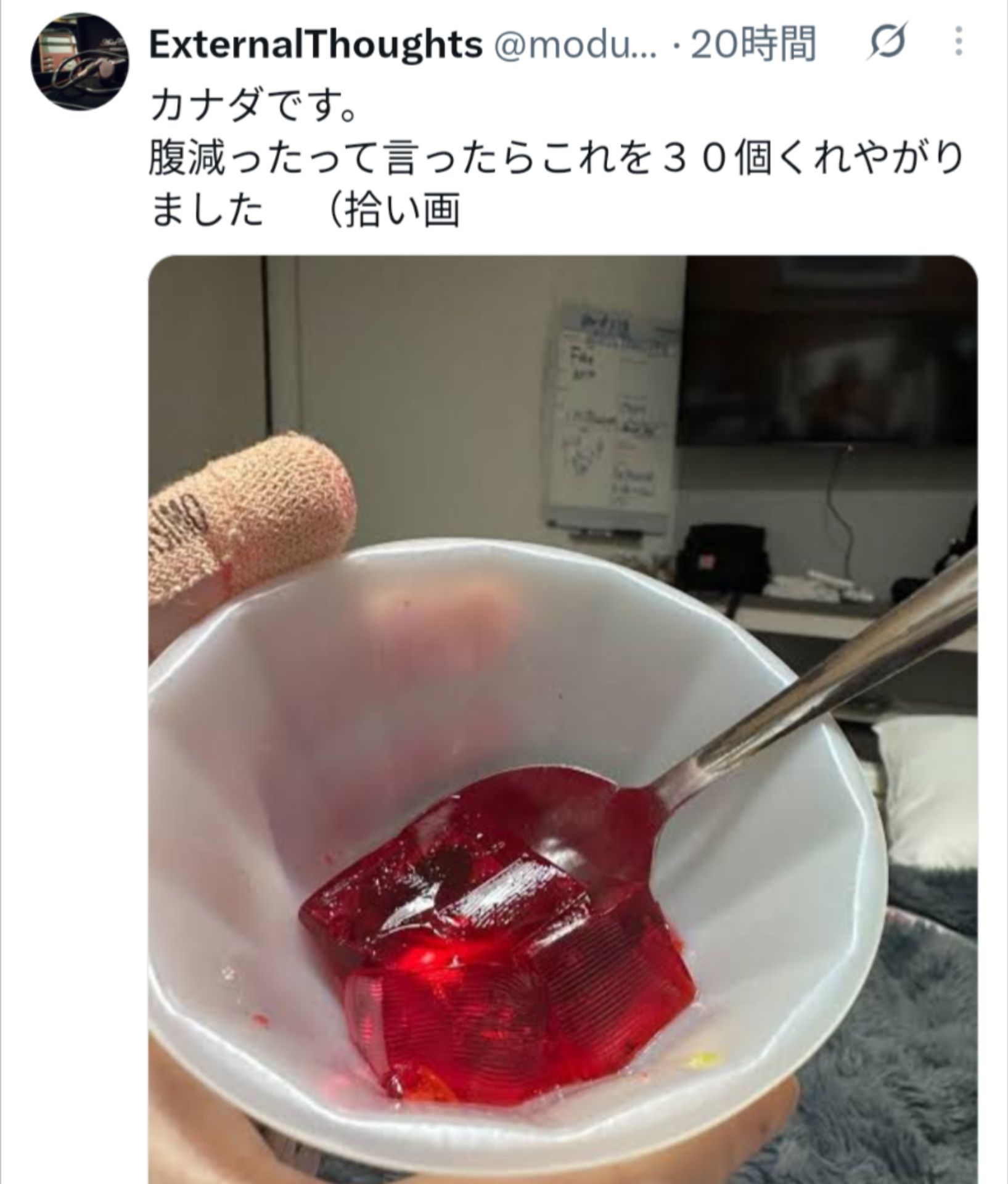 投稿画像