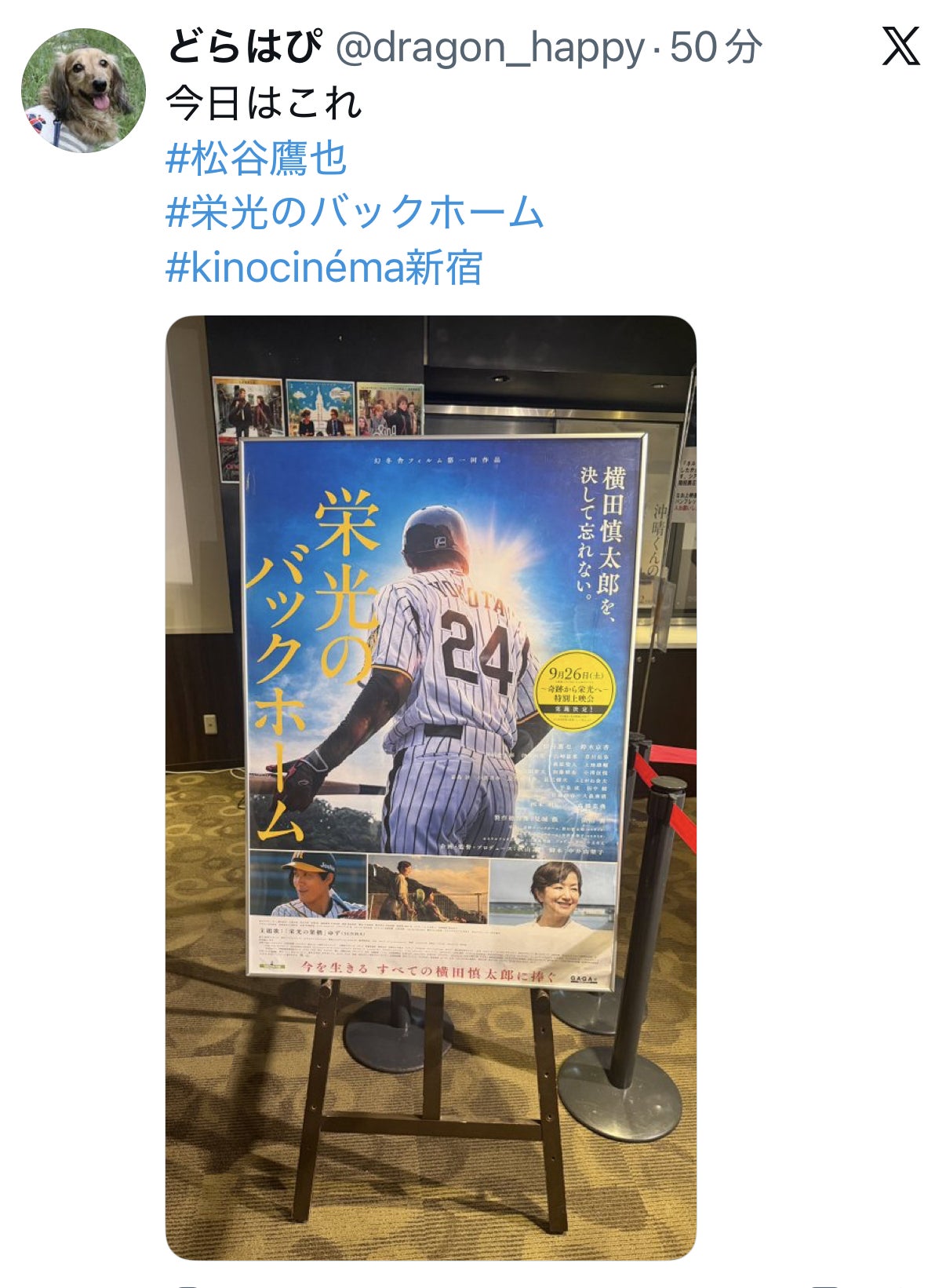 投稿画像