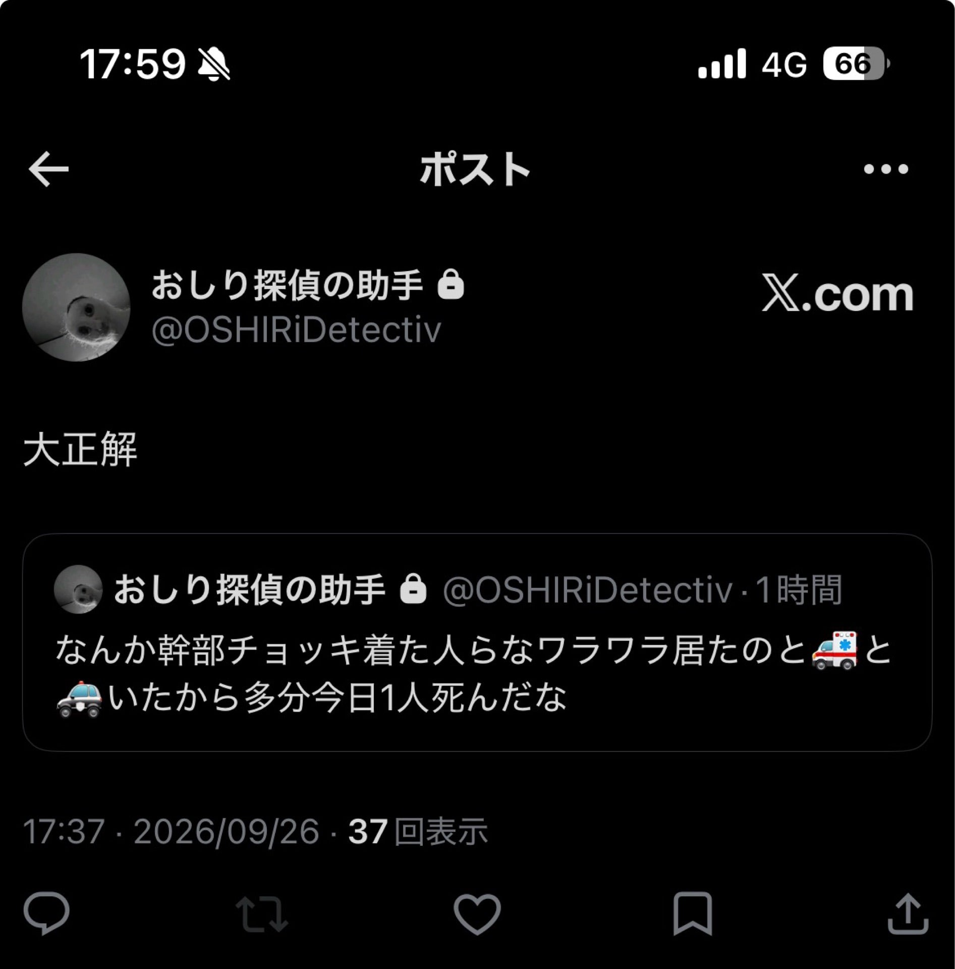 投稿画像