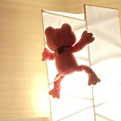 🐻