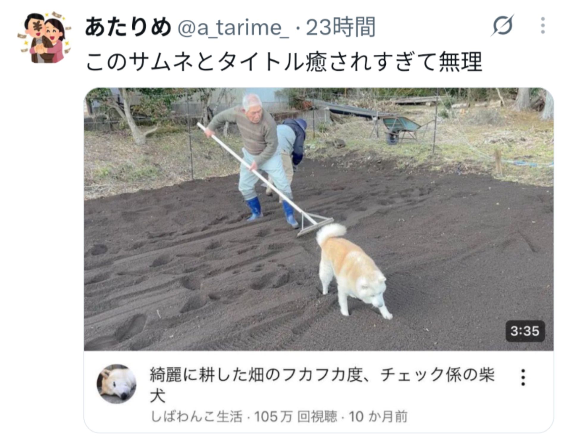 投稿画像