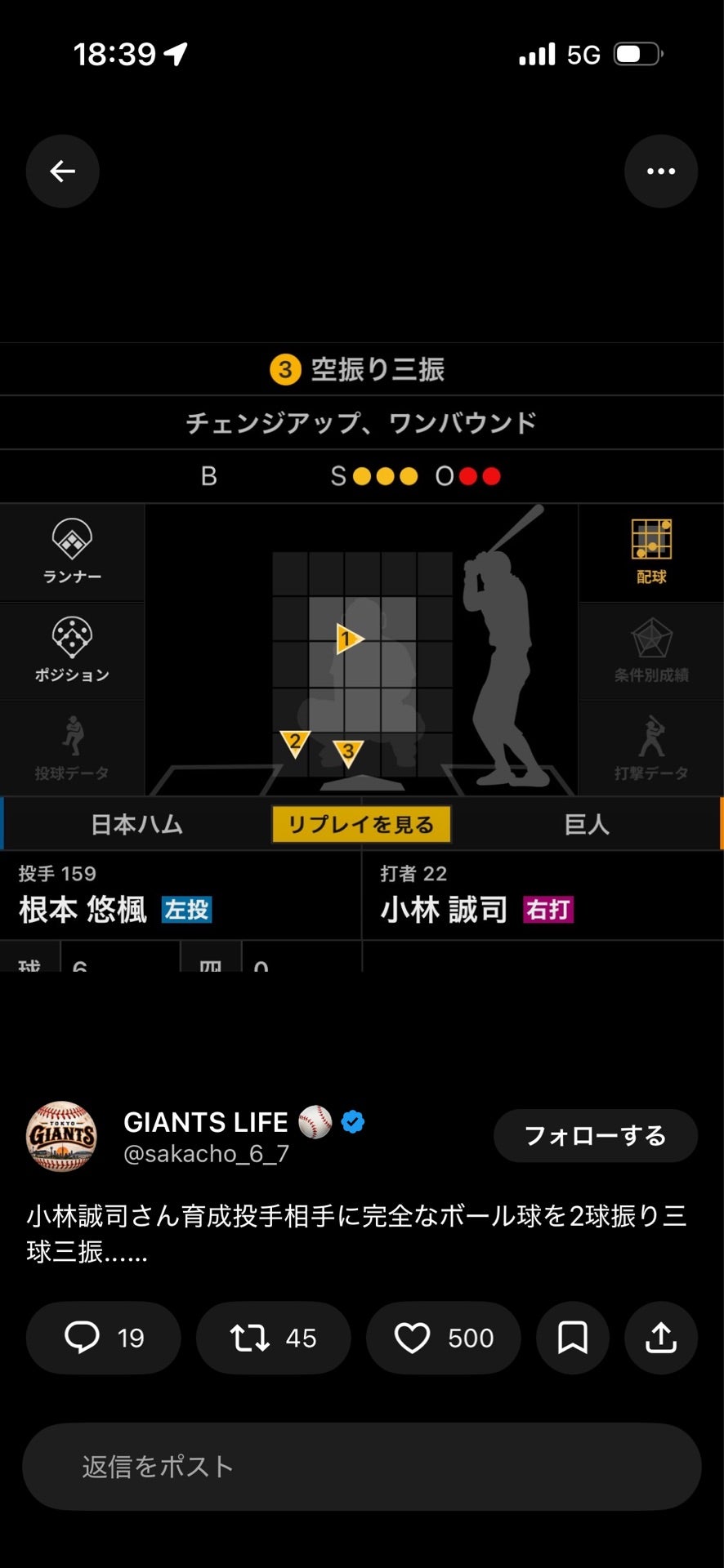 投稿画像