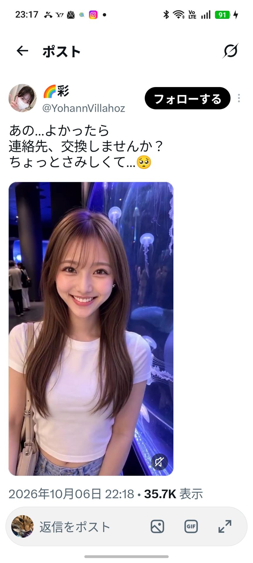 投稿画像