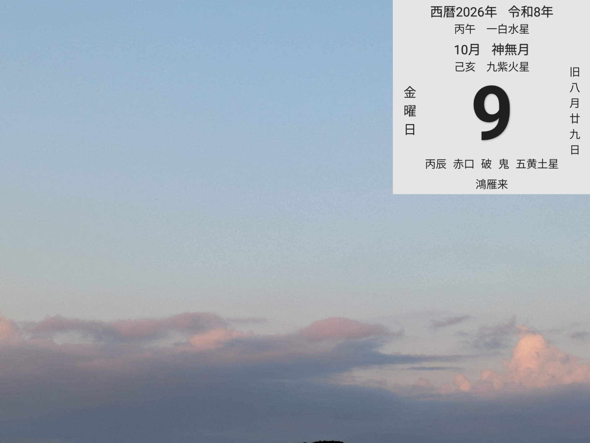 投稿画像
