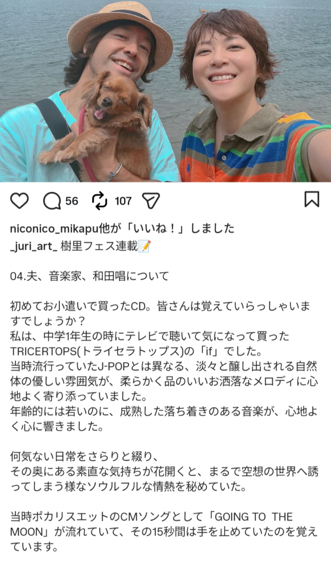 投稿画像