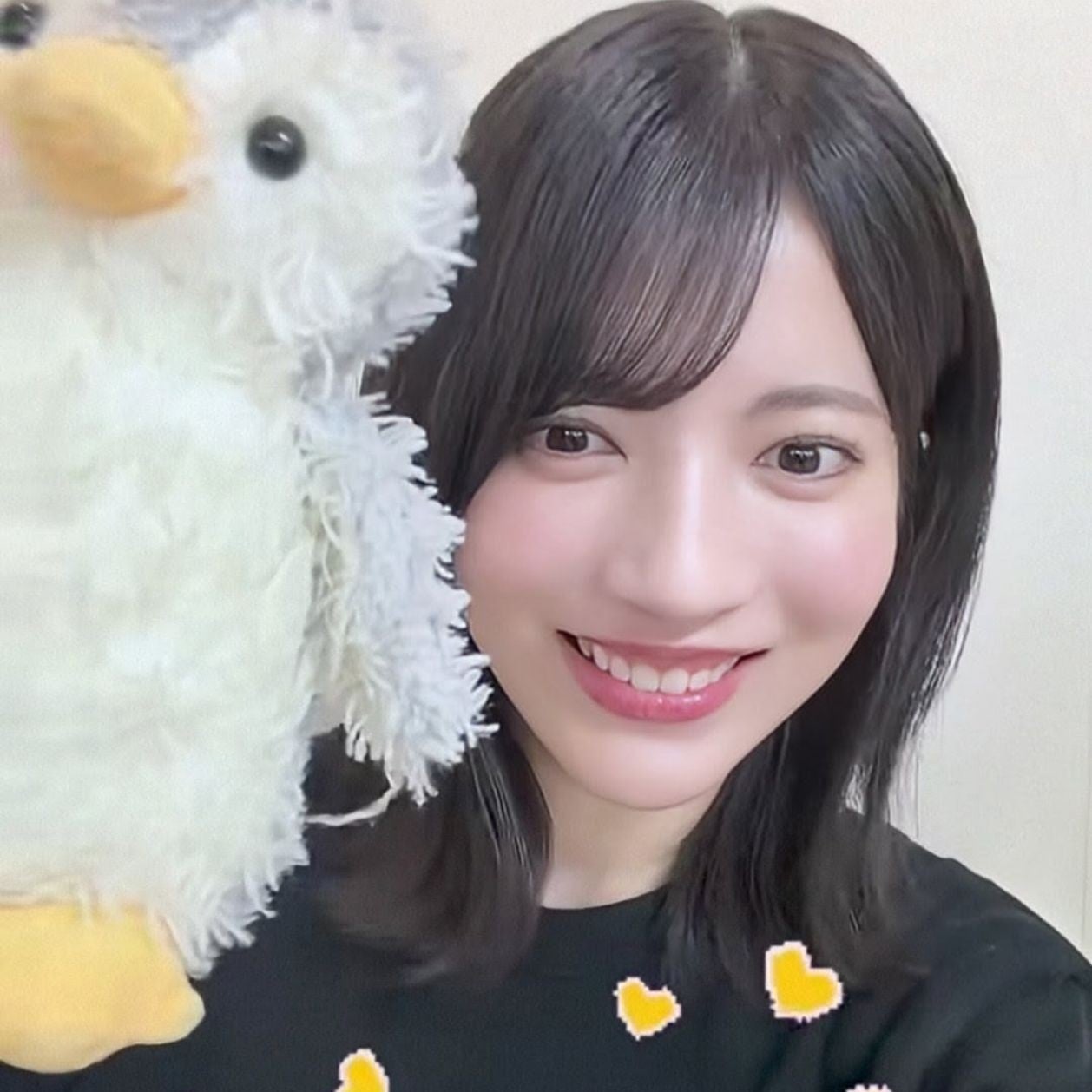 アメ あやめん推し