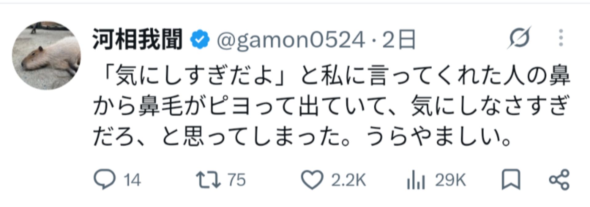 投稿画像