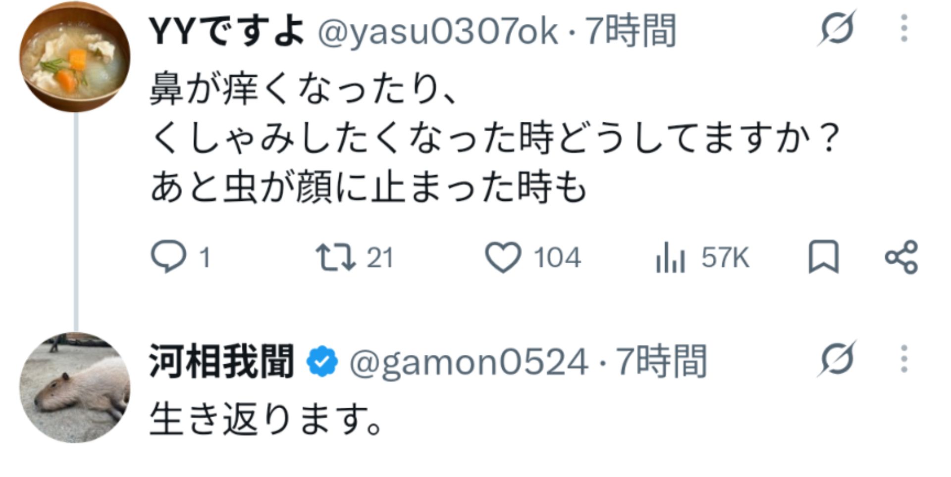 投稿画像