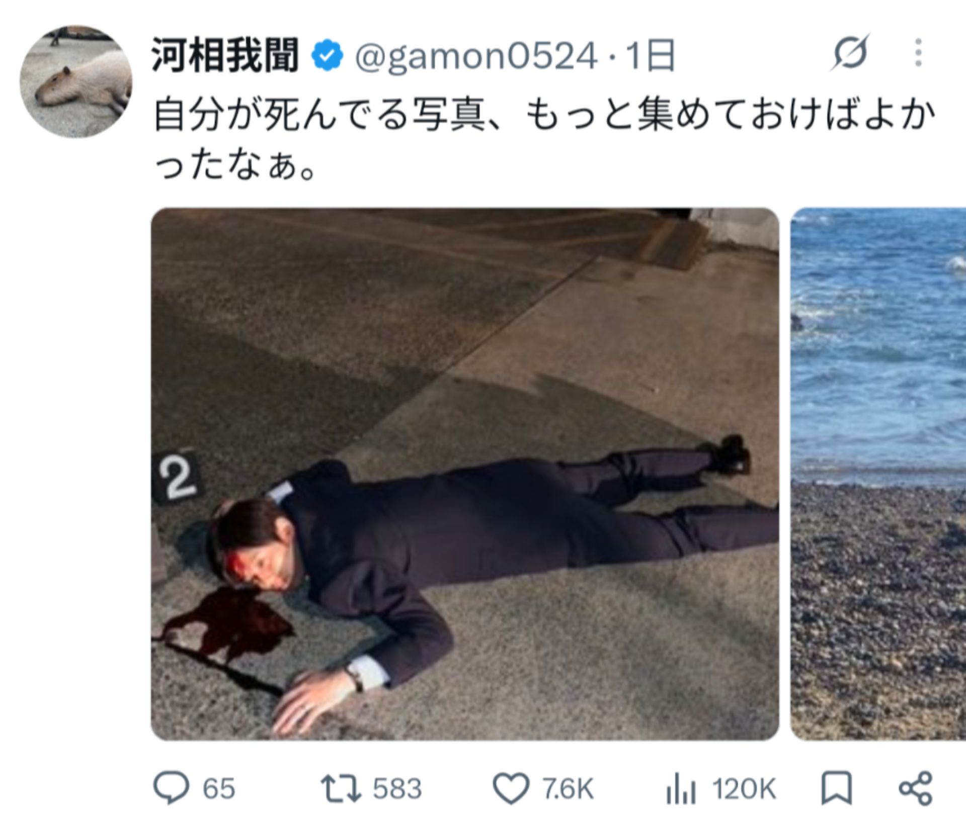 投稿画像