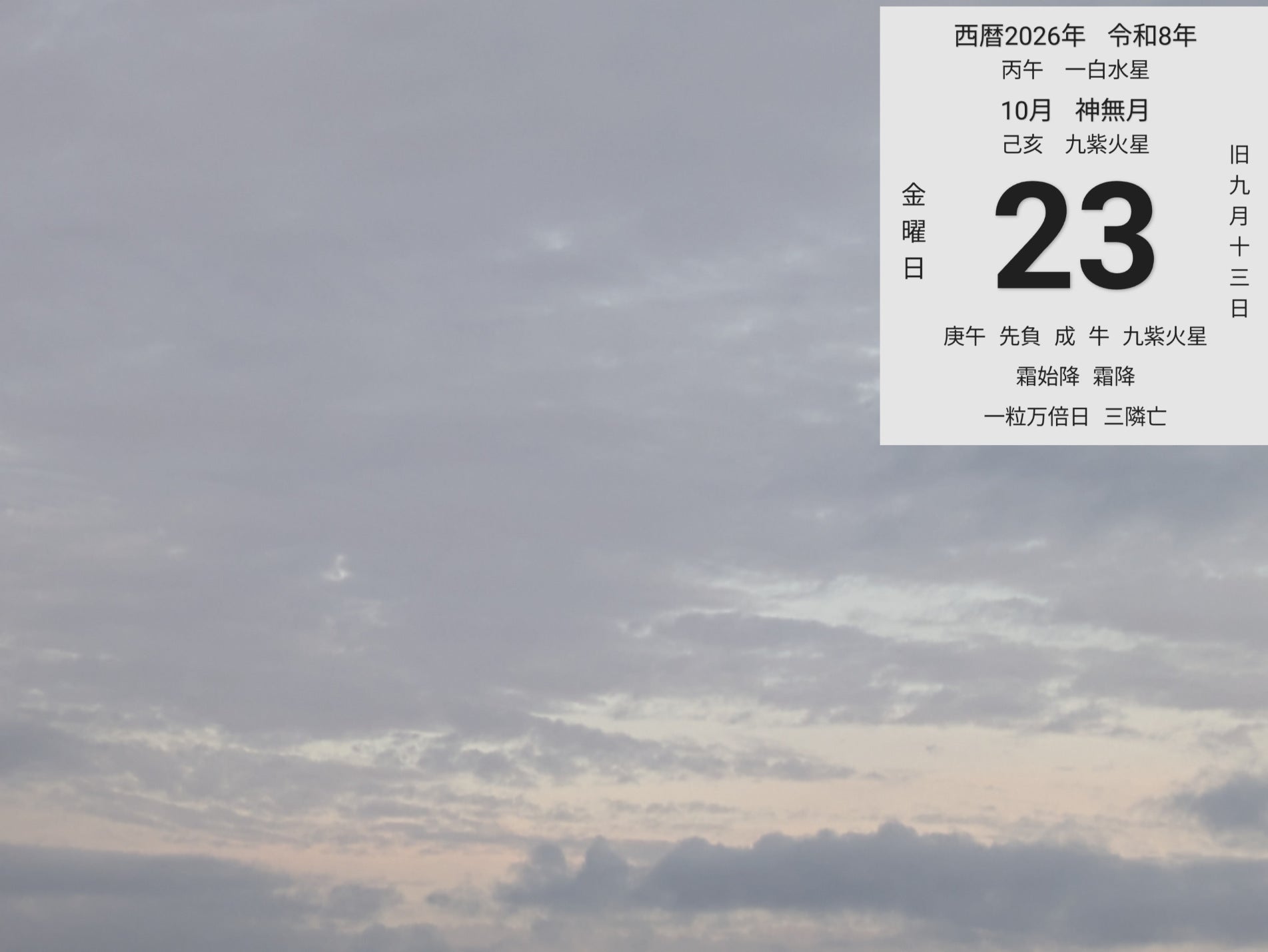 投稿画像