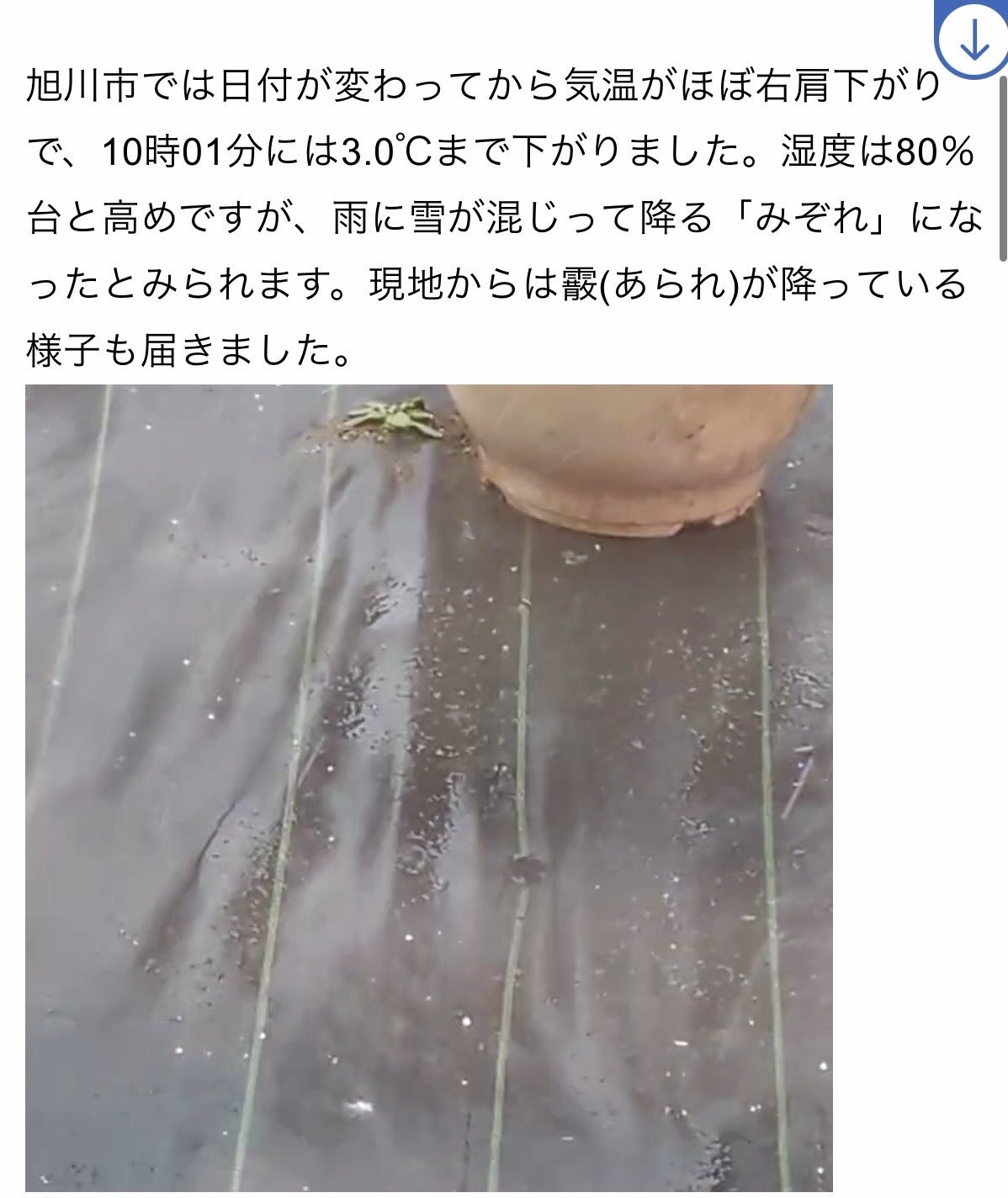 投稿画像