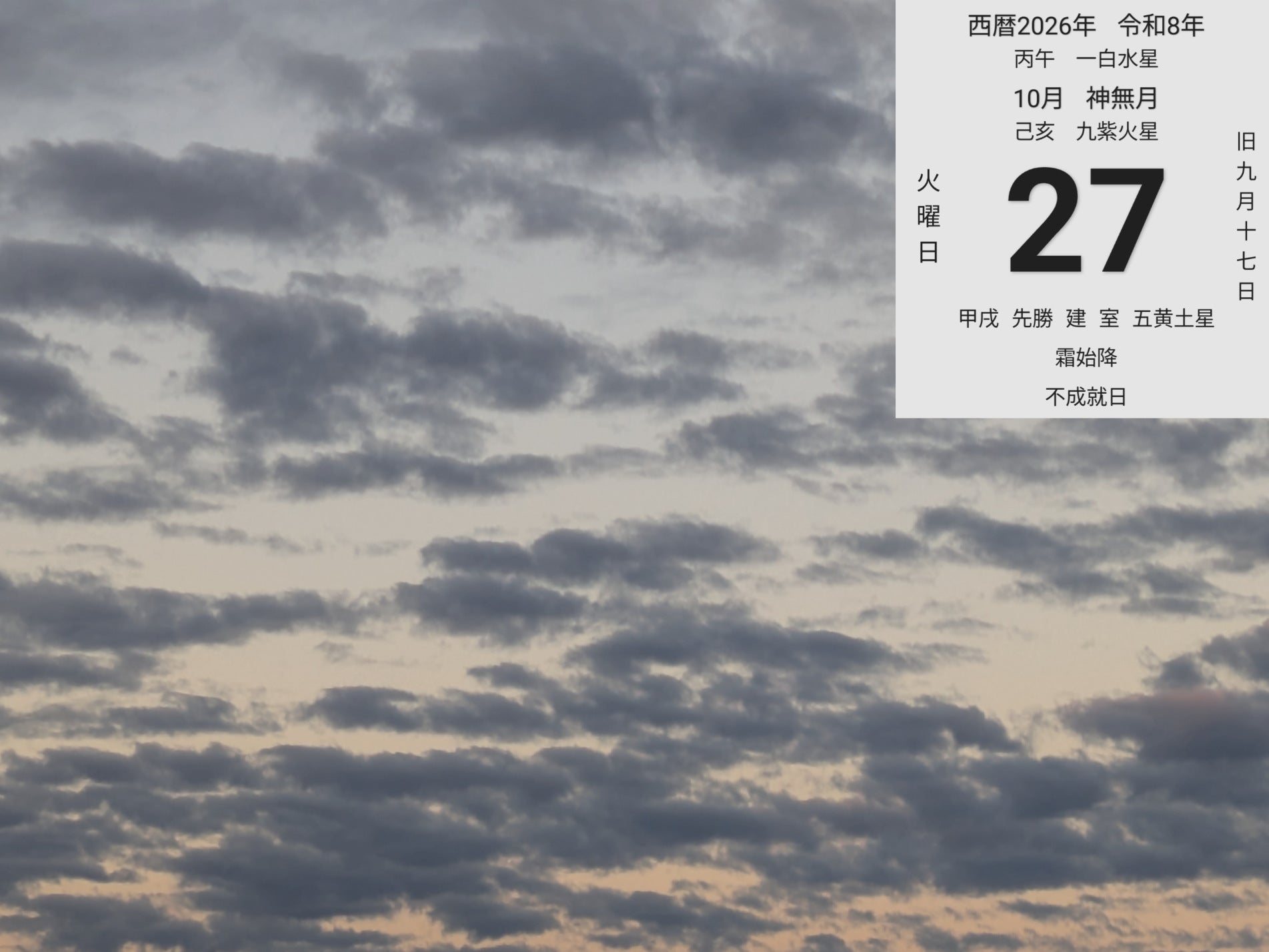 投稿画像